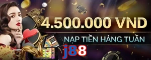 j88